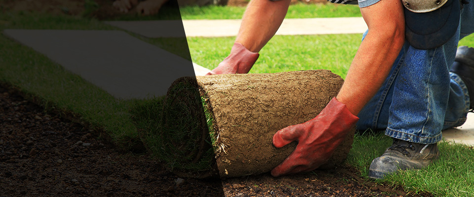 Wisconsin Landscapers